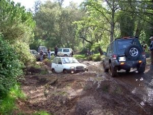 [PICT6851red[1].jpg]